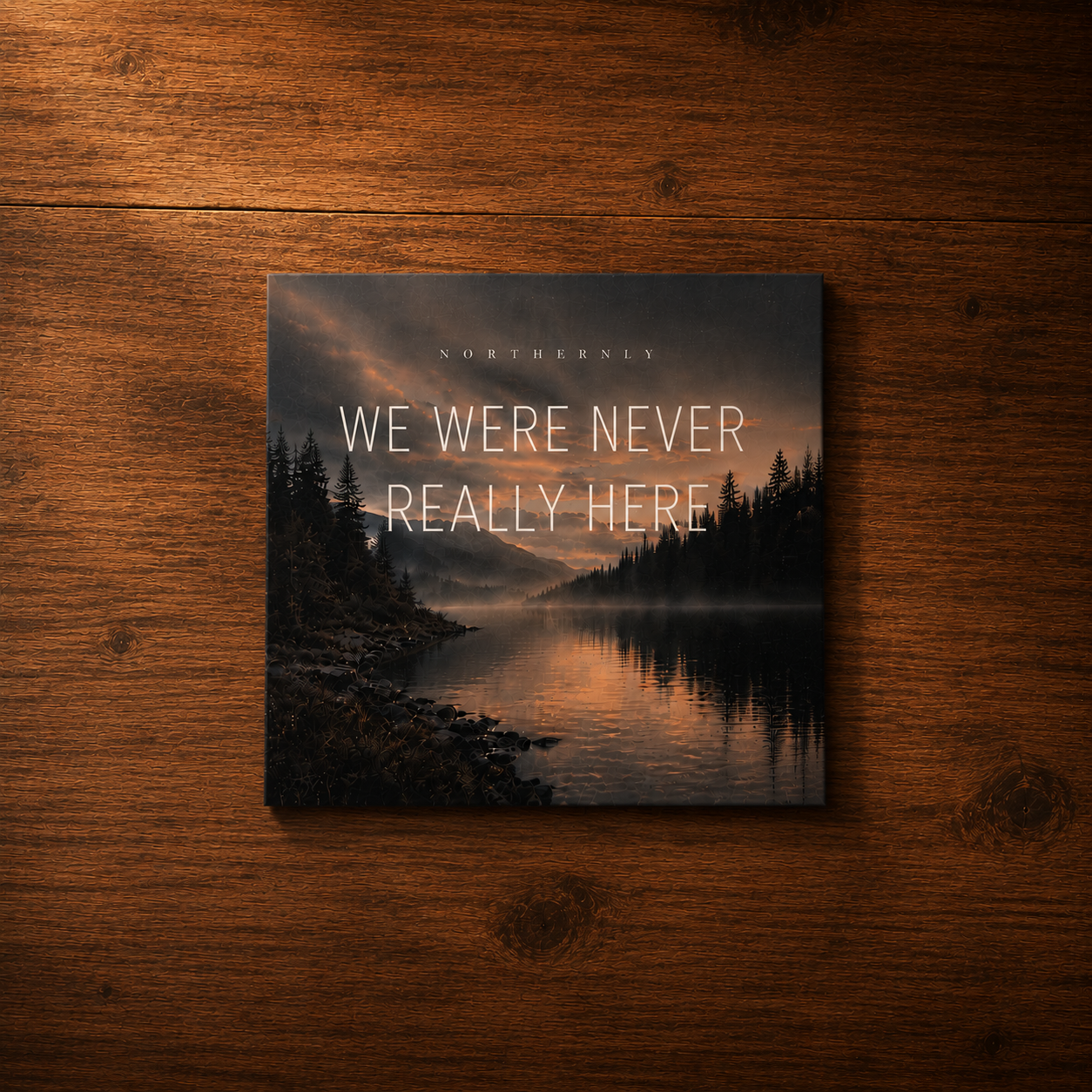 We Were Never Really Here vinyl by Northernly